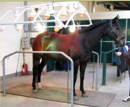 Solarium