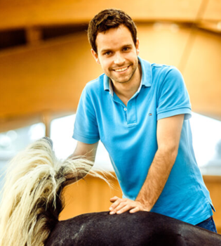 Pferdeosteopathie Pferdeosteopathie