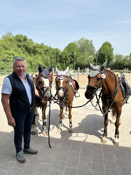 Pony´s im Turniersport