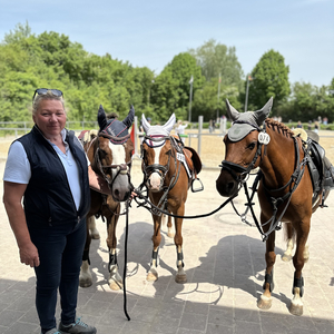 Pony´s im Turniersport