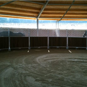 Longierhalle