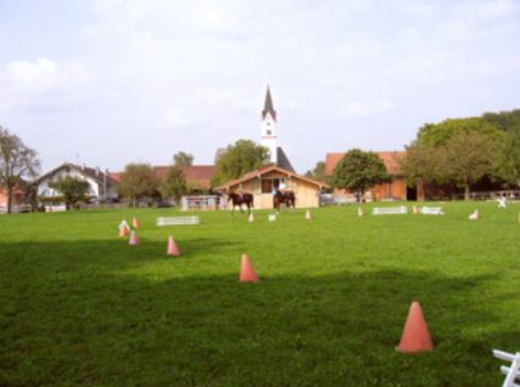 Dressurplatz/Fahrwiese Dressurplatz/Fahrwiese