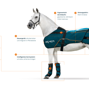 BEMER Horse Set