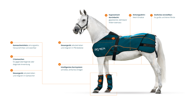 BEMER Horse Set
