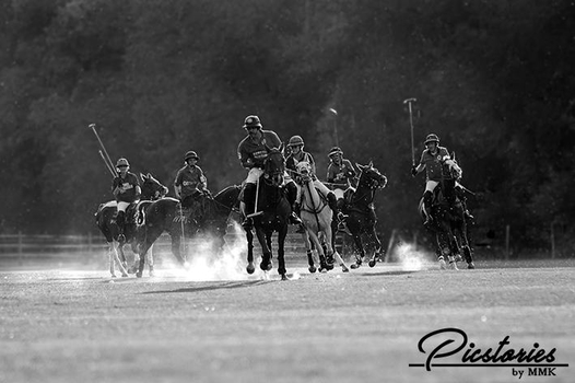 Spannende Polospiele Spannende Polospiele