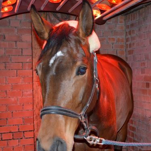 Solarium