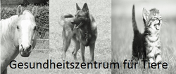 Gesundheitszentrum für Tiere