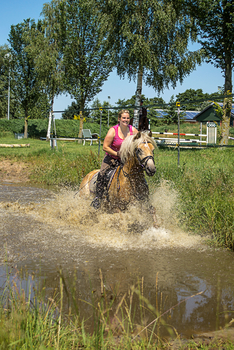Wasserdurchritt neben unserem Springplatz