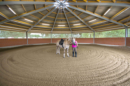18m Longierhalle