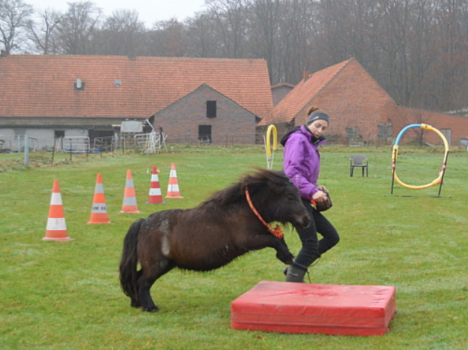 Clickertraining Clickertraining