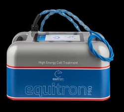 Equitron Behandlung Pferd und Omnitron Behandlung Mensch