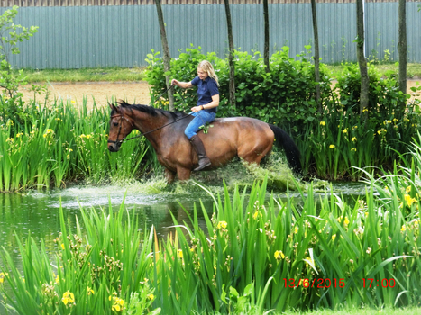 unser Hofteich