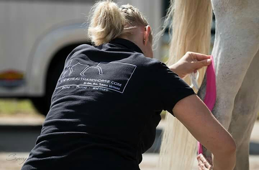 Sportpferdetherapie — Impressionen 