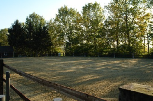 Dressurplatz