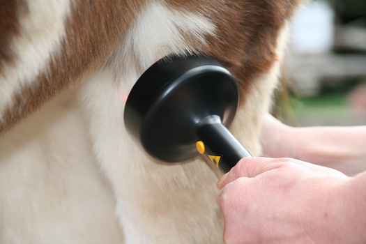 Low-Level-Laser-Therapie