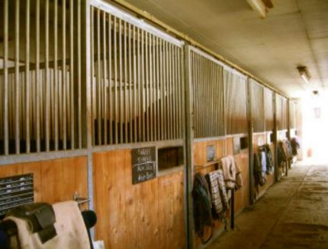 Stallgasse Stallgasse