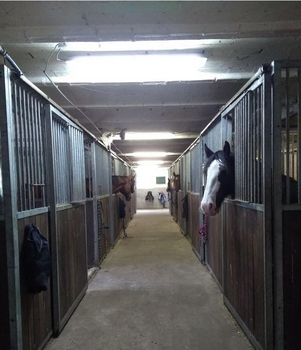 Stallgasse Stallgasse