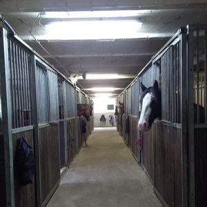 Stallgasse
