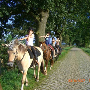 Lustige Ausritte