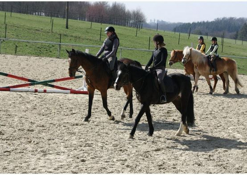 Reitschulunterricht Reitschulunterricht