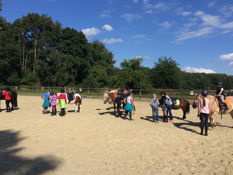 Reitkurs in den Sommerferien 2016