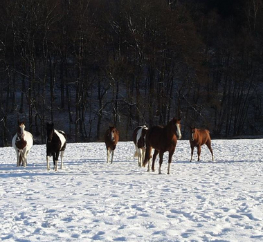 Schneeparadies