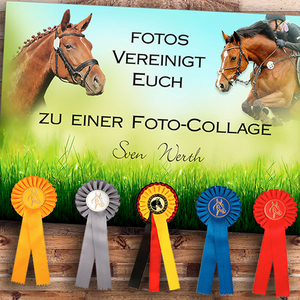Fotocollagen | Bildbearbeitungen