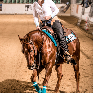 REINING REITEN 