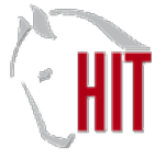 HIT Aktivstall
