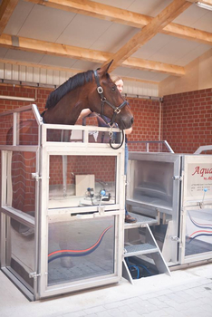 Equine Spa Equine Spa