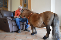 Tiergestützte Therapie