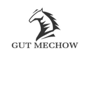 Aktivstall Gut Mechow