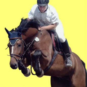 Frohnloh Reitsportanlage