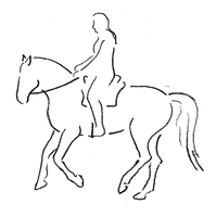Pferd als Freund