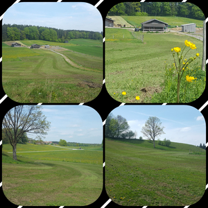 BuschreiterRanch