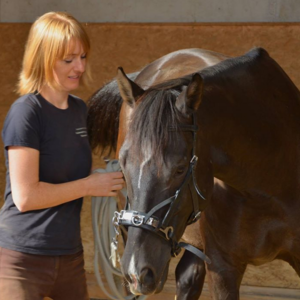 Horselearning by Susn