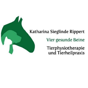 Viergesundebeine