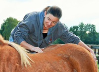 Schimmelhof Veterinärchiropraktik