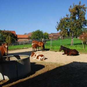 Wiethagen-Ranch