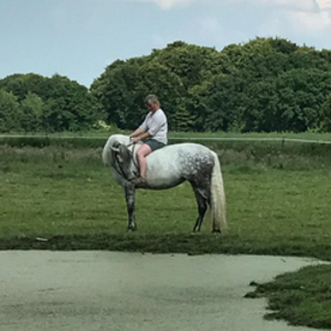 Reiten mit Funktion