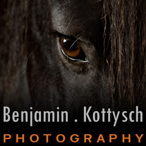 Pferdefotografie