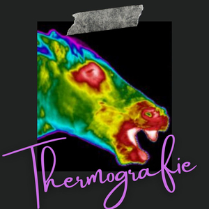 HorseTherm Pferdethermografie