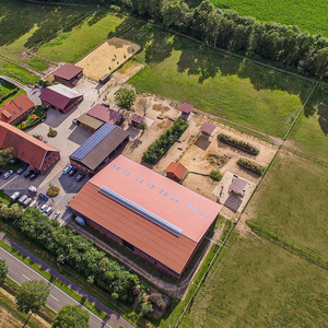Pferdepension Börger
