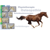 Physio Equine