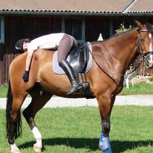 Reitsportanlage Vietze