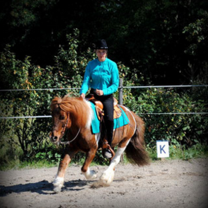 Susi Tröster Westernreiten