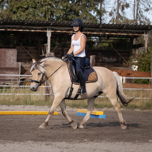MB Pferdetraining