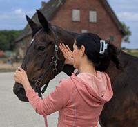 move-your-horse Pferdephysiotherapie Daniela Pramann