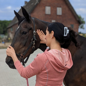 move-your-horse Pferdephysiotherapie Daniela Pramann