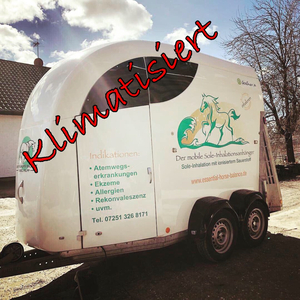 Essential-Horse-Balance,                                  Gesundheit & Training